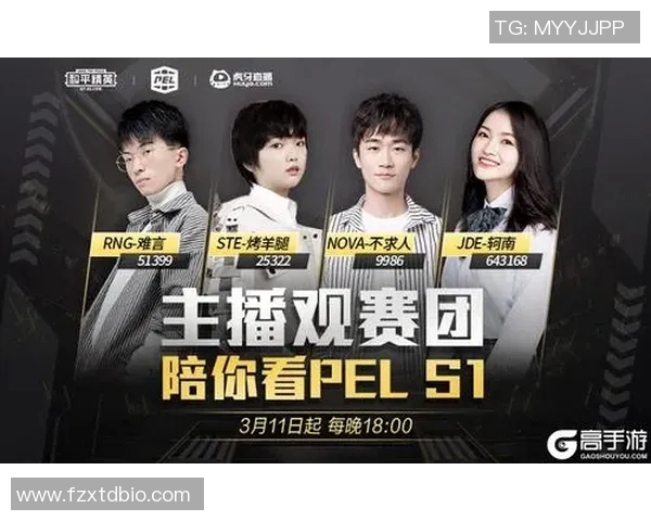 和平精英热点分析RNG战队运营策略与市场表现解读