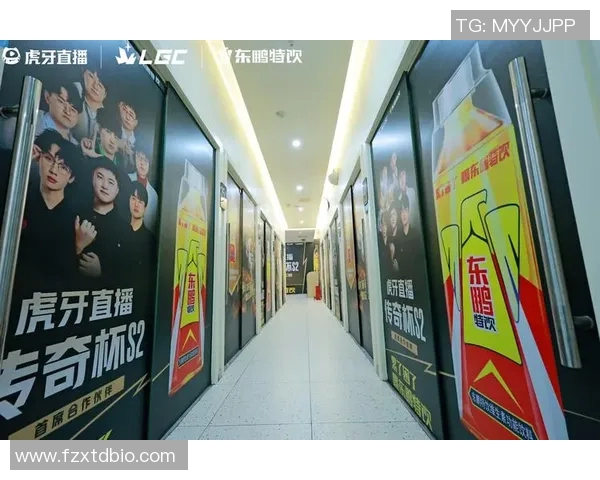 电竞数据专家赵丽独家分享英雄联盟游戏策略与心得体会